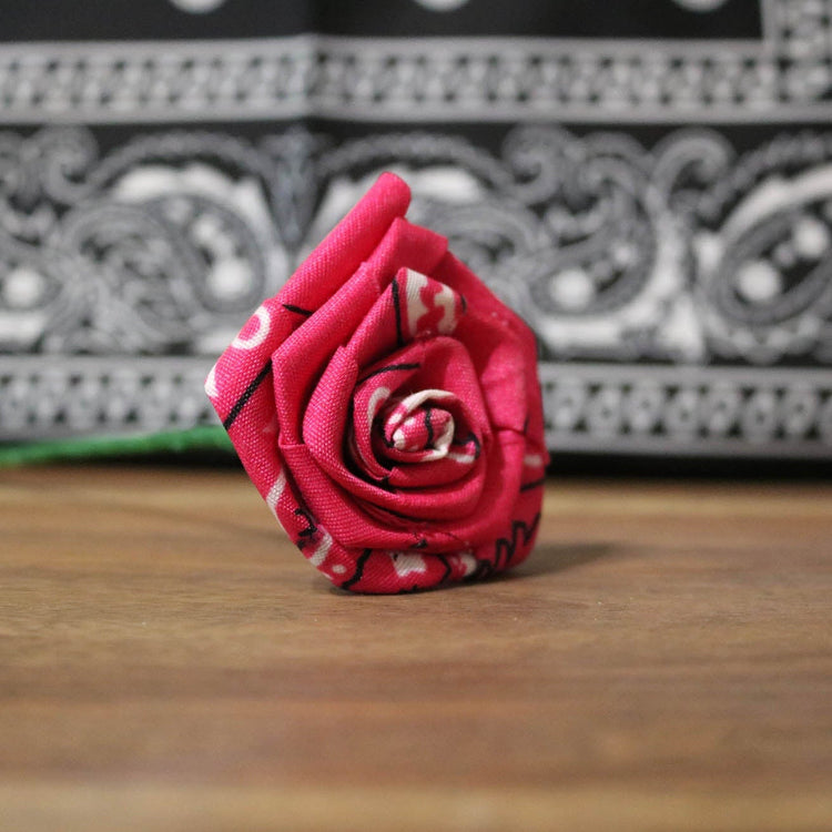 Roses - Cultura Life Design