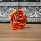 Roses - Cultura Life Design