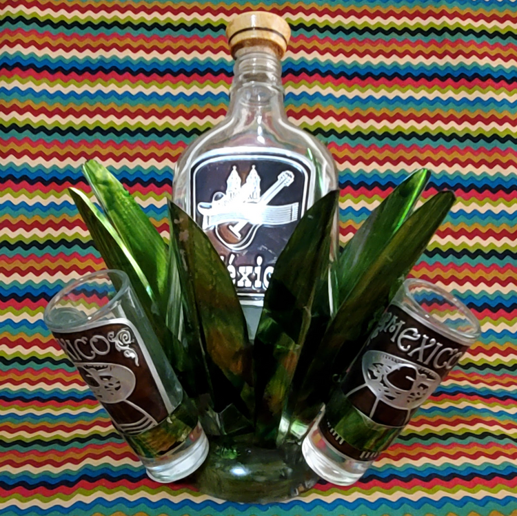 Agave Themed 4-Piece Decanter Set - Cultura Life Design